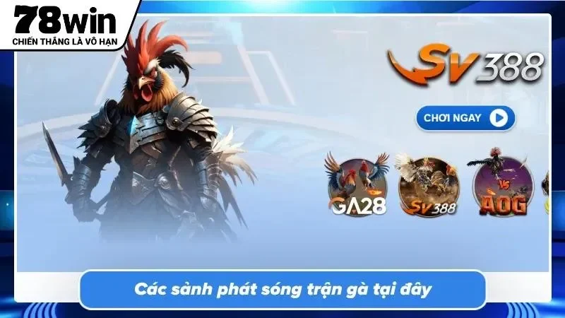 Sảnh cược WS168 danh tiếng với quy mô trận đấu tầm cỡ quốc tế