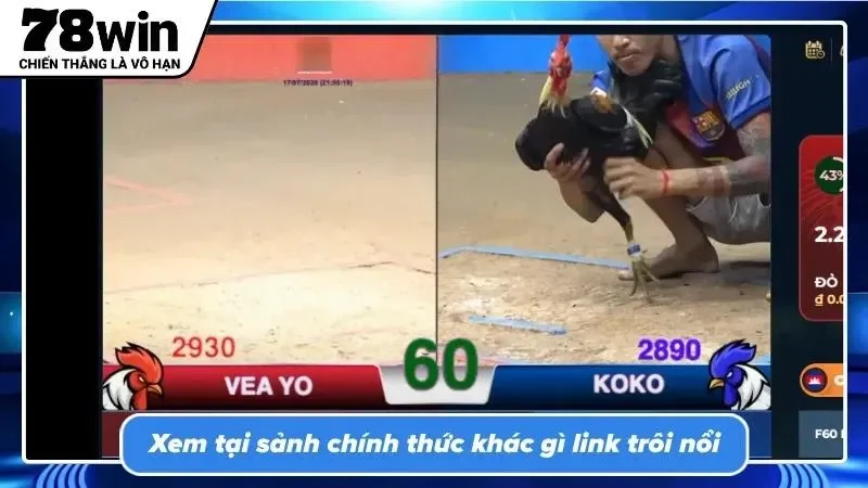 Cược chọi kê bảo mật tuyệt đối, không lo lừa đảo hay mã độc