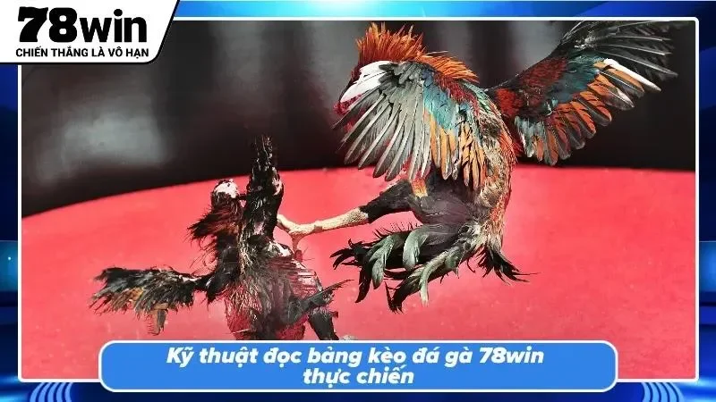 Kỹ năng đọc bảng kèo giúp người chơi chủ động trước mọi biến động