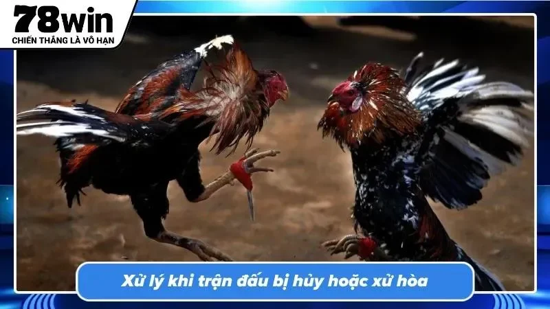 Người chơi theo dõi quy trình hoàn tiền khi trận đấu không có kết quả hợp lệ