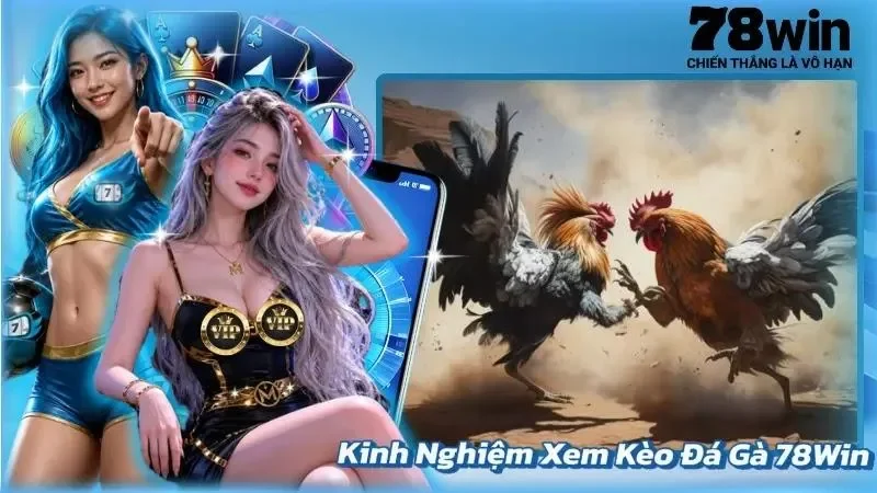 Kinh Nghiệm Xem Kèo Đá Gà 78Win